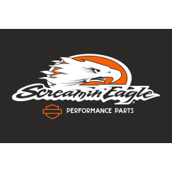 Флаг любителей Harley-Davidson, Screamin eagle. Вариант-02