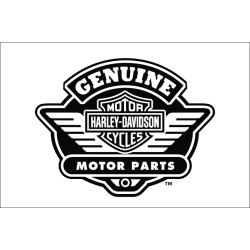 Флаг любителей Harley-Davidson, Genuine motor accessories. Вариант-04