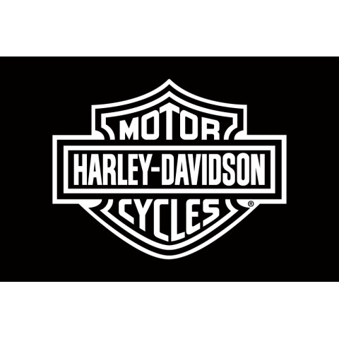 Флаг любителей Harley-Davidson (рус. Харли-Дэвидсон). Вариант-02 Флаг любителей Harley-Davidson (рус. Харли-Дэвидсон). Вариант-02