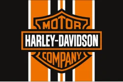 Флаг любителей Harley-Davidson, Custom. Вариант-02 Флаг любителей Harley-Davidson, Custom. Вариант-02