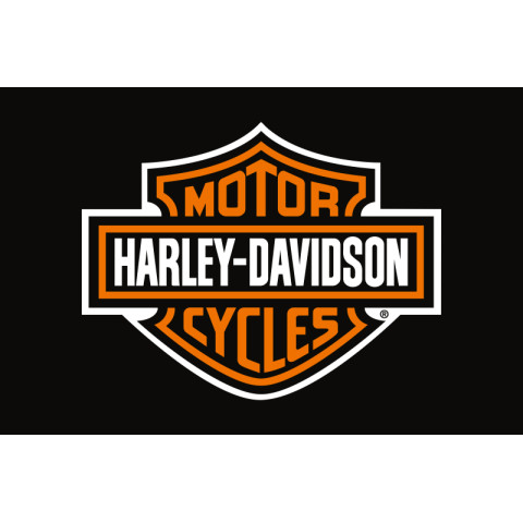 Флаг любителей Harley-Davidson (рус. Харли-Дэвидсон). Вариант-01 Флаг любителей Harley-Davidson (рус. Харли-Дэвидсон). Вариант-01