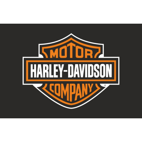 Флаг любителей Harley-Davidson Motor Company (рус. Харли-Дэвидсон). Вариант-01 Флаг любителей Harley-Davidson Motor Company (рус. Харли-Дэвидсон). Вариант-01