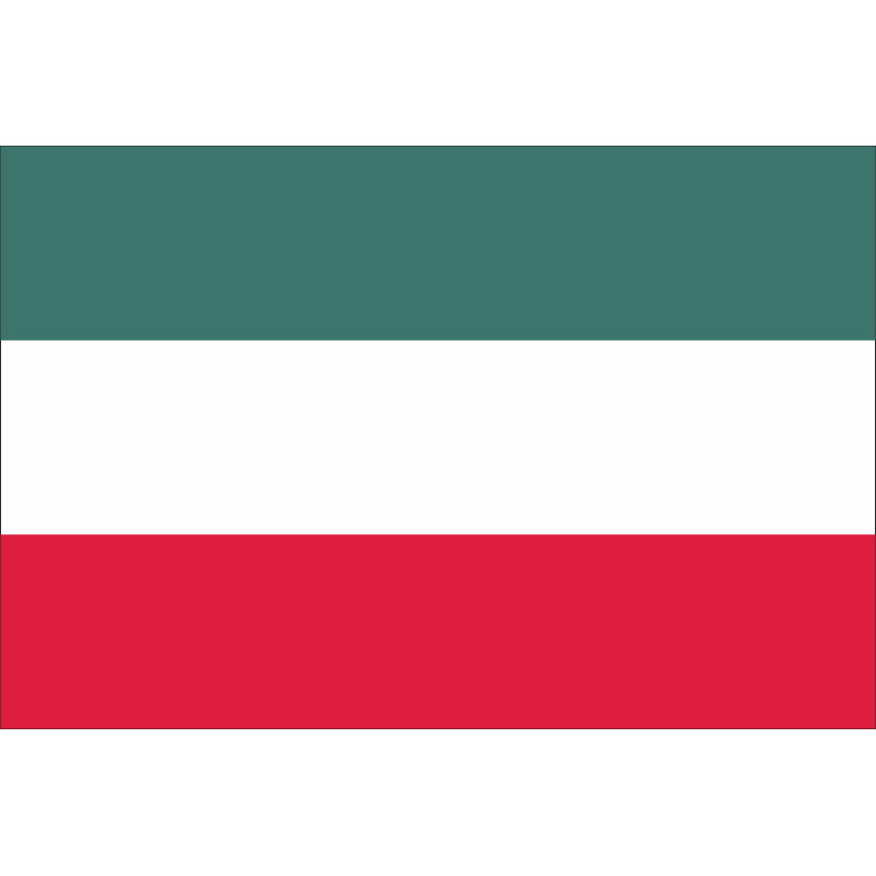 Флаг города Гожув-Велькопольски, Польша Флаг города Гожув-Велькопольски, Польша