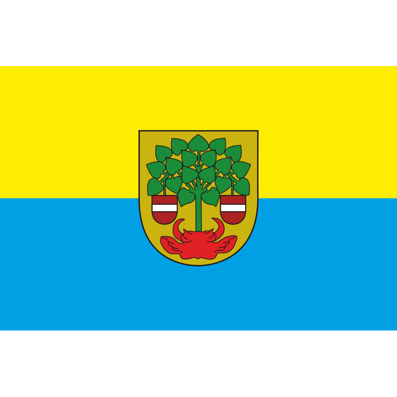 Флаг города Валмиера, Латвия Флаг города Валмиера, Латвия