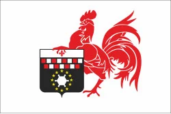 Прапор міста Шарлеруа, Бельгія Прапор міста Шарлеруа, Бельгія