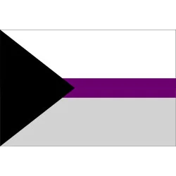 Флаг Demisexual Pride Flag Флаг Demisexual Pride Flag
