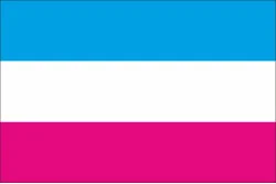 Флаг Гетеро (Heterosexual) Флаг Гетеро (Heterosexual)