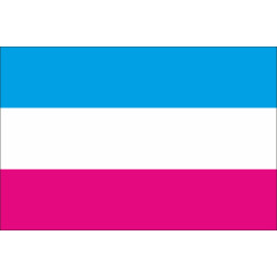 Прапор Гетеро (Heterosexual)