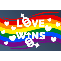 Флаг LGBT Love Wins. Вариант-01 Флаг LGBT Love Wins. Вариант-01