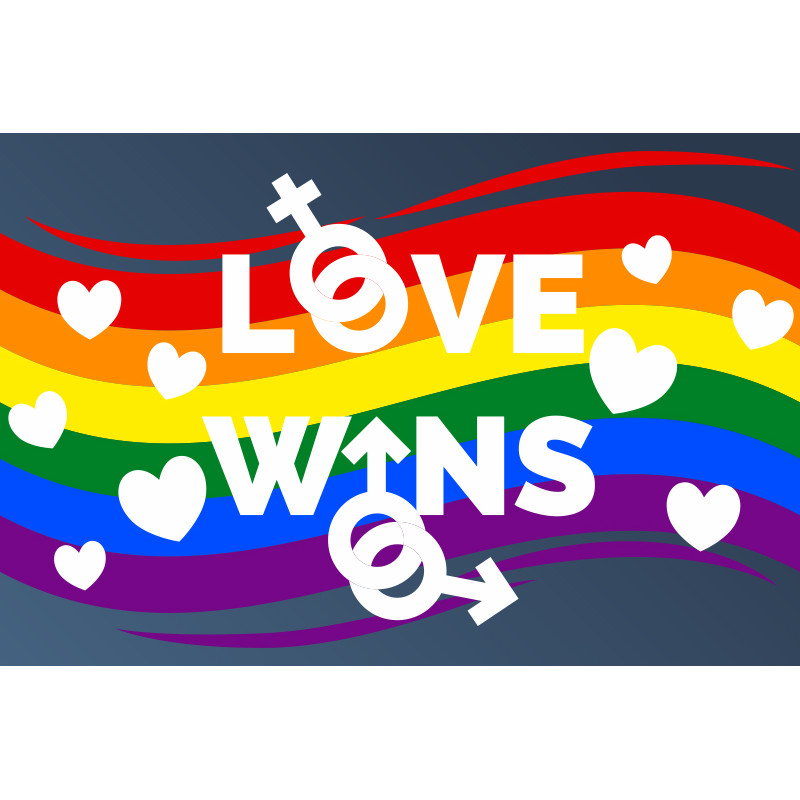 Флаг LGBT Love Wins. Вариант-01 Флаг LGBT Love Wins. Вариант-01