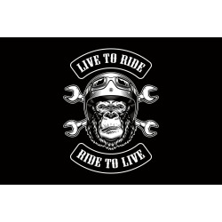 Флаг LIVE TO RIDE. Вариант-02