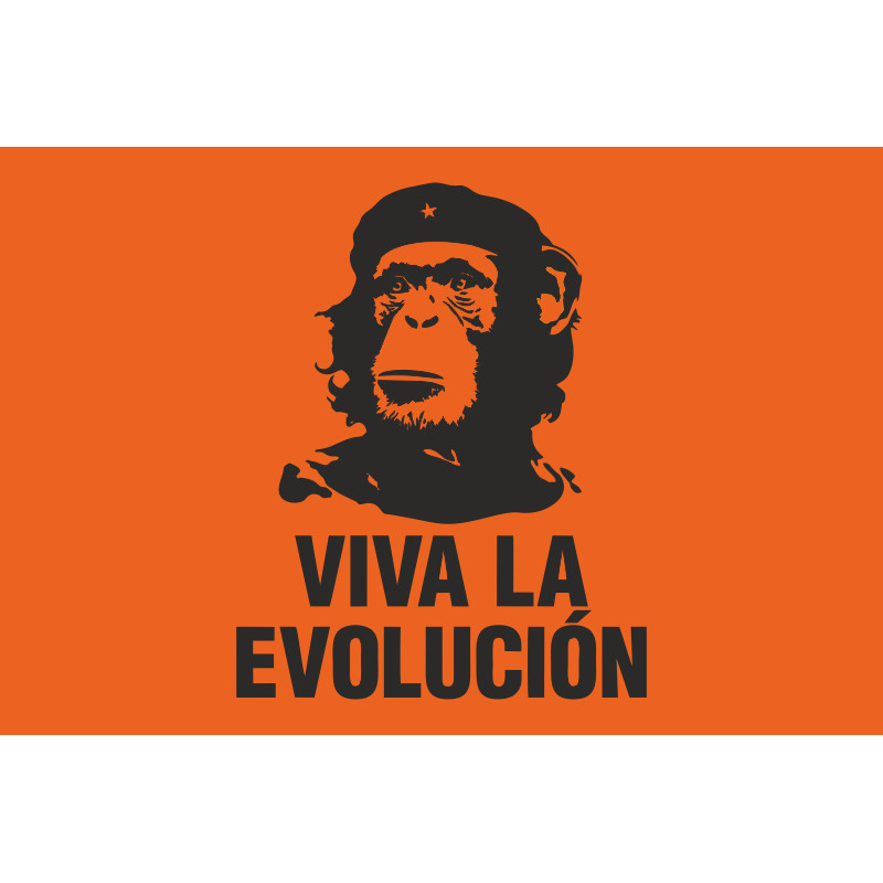 Флаг VIVA LA EVOLUCIÓN Флаг VIVA LA EVOLUCIÓN