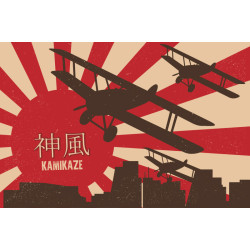 Флаг Камикадзе. Вариант-13