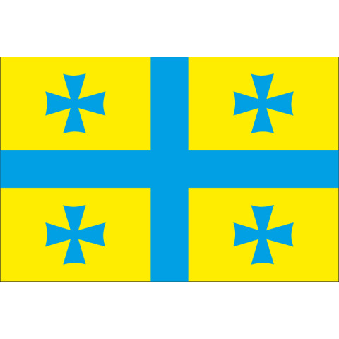 Прапор Україна-Грузія (дружній). Варіант-01