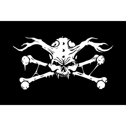 Флаг пиратский «Весёлый Роджер» (дизайн-009)
