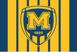 Прапор ФК «Металіст 1925» Харків, Україна. Варіант-01 Прапор ФК «Металіст 1925» Харків, Україна. Варіант-01
