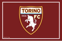 Прапор ФК «Торіно». Варіант-01