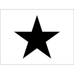Флаг класса гоночных яхт «Star» (Звездный) Флаг класса гоночных яхт «Star» (Звездный)