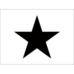 Флаг класса гоночных яхт «Star» (Звездный)