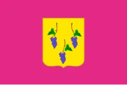 Прапор міста Ізюм, Україна