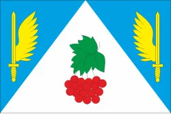 Флаг города Новый Калинов, Украина. Вариант-01