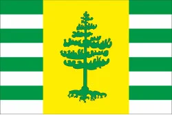 Прапор міста Рубіжне, Україна. Варіант-01