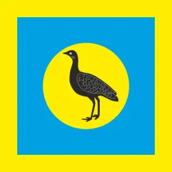 Прапор міста Бобринець, Україна. Варіант-02 Прапор міста Бобринець, Україна. Варіант-02
