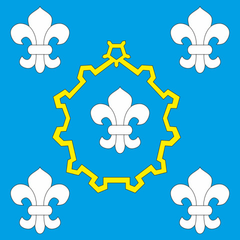 Прапор міста Броди, Україна. Варіант-02