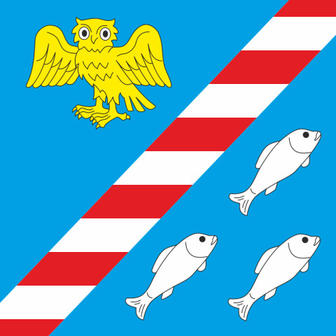 Флаг города Заставна, Украина. Вариант-02 Флаг города Заставна, Украина. Вариант-02