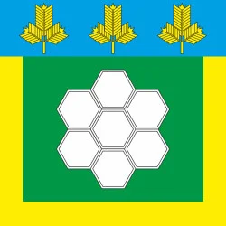 Флаг города Нетешин, Украина. Вариант-02