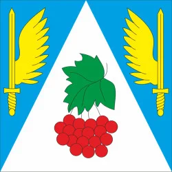 Флаг города Новый Калинов, Украина. Вариант-02