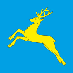 Прапор міста Самбір, Україна. Варіант-02
