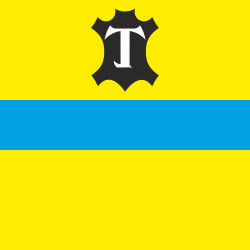 Флаг города Тысменица, Украина. Вариант-02 Флаг города Тысменица, Украина. Вариант-02