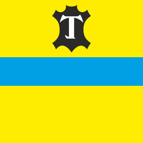 Прапор міста Тисмениця, Україна. Варіант-02 Прапор міста Тисмениця, Україна. Варіант-02