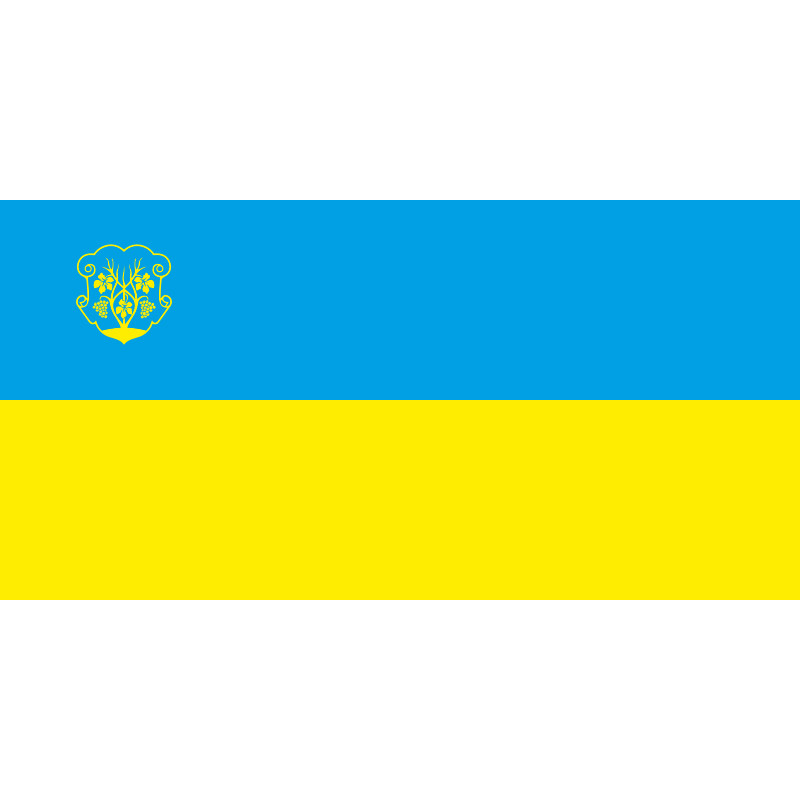 Флаг города Ужгород, Украина. Вариант-02 Флаг города Ужгород, Украина. Вариант-02
