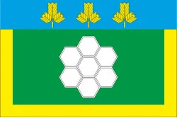 Флаг города Нетешин, Украина. Вариант-01