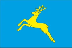 Прапор міста Самбір, Україна. Варіант-01