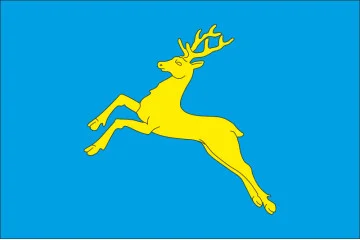 Флаг города Самбор, Украина. Вариант-01