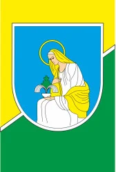 Прапор міста Свалява, Україна. Варіант-01