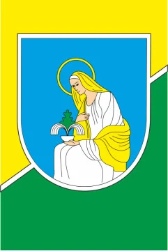 Флаг города Свалява, Украина. Вариант-01