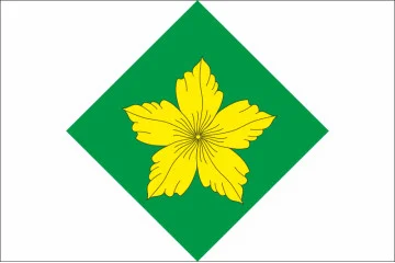 Прапор СМТ Рокитне, Україна (Рівненська область). Варіант-02
