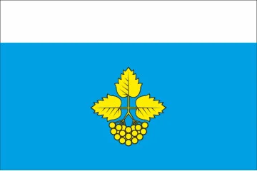 Прапор СМТ Лисянка, Україна. Варіант-02
