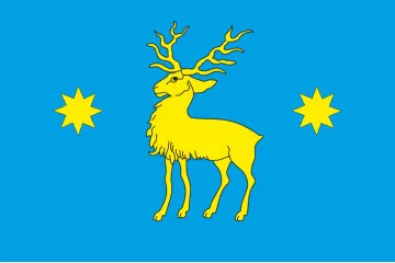 Прапор СМТ Нижанковичі, Україна. Варіант-02