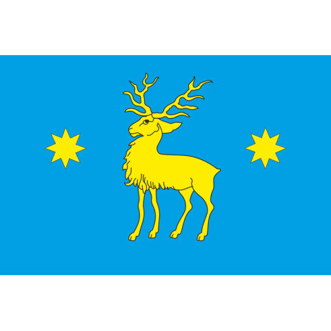 Флаг ПГТ Нижанковичи, Украина. Вариант-02 Флаг ПГТ Нижанковичи, Украина. Вариант-02