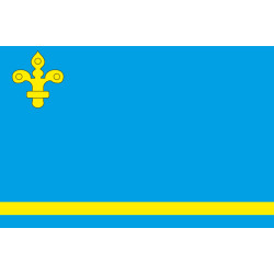 Флаг ПГТ Кожанка, Украина. Вариант-02 Флаг ПГТ Кожанка, Украина. Вариант-02