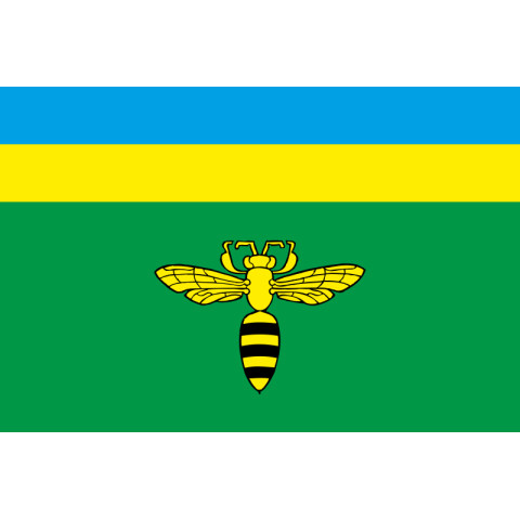 Флаг ПГТ Запытов, Украина. Вариант-02