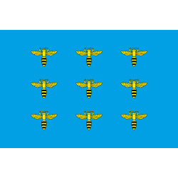 Флаг ПГТ Меденичи, Украина. Вариант-02 Флаг ПГТ Меденичи, Украина. Вариант-02