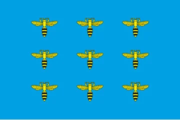 Прапор СМТ Меденичі, Україна. Варіант-02