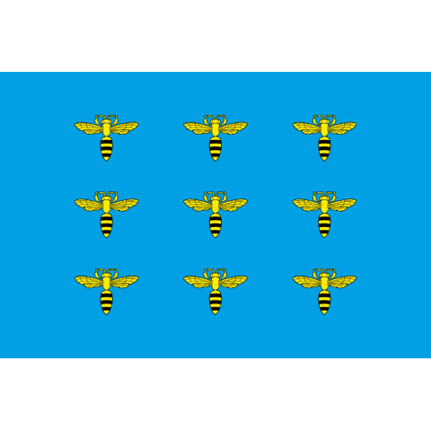 Флаг ПГТ Меденичи, Украина. Вариант-02