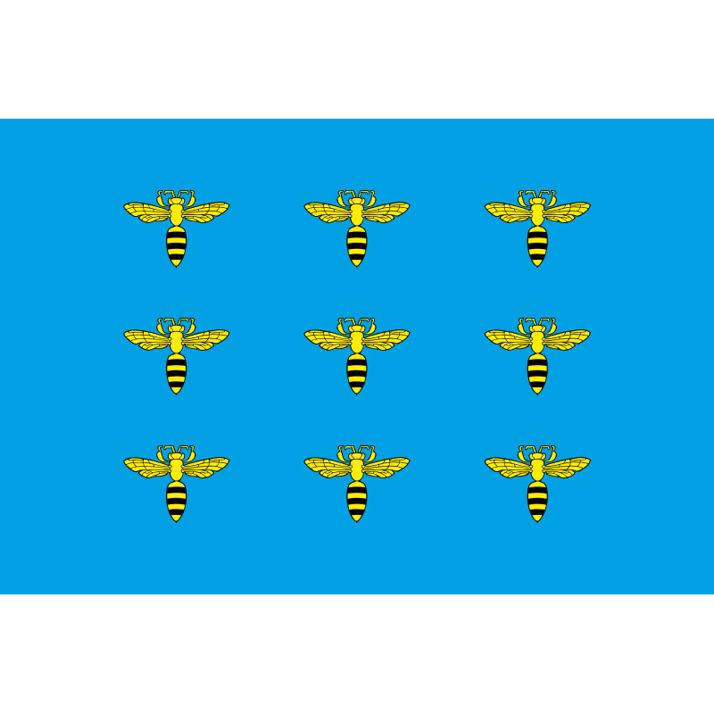 Флаг ПГТ Меденичи, Украина. Вариант-02 Флаг ПГТ Меденичи, Украина. Вариант-02